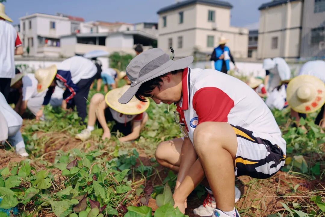 【多彩新哲】 | 行走的课堂，快乐地成长——新哲文院河源研学记
